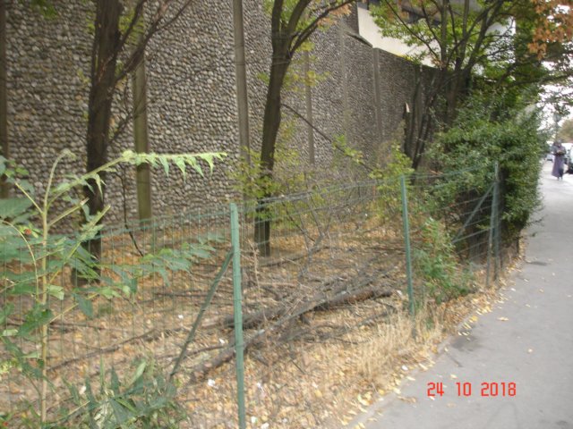 ilotdeverdure.jpg