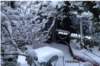 neige_small.jpg